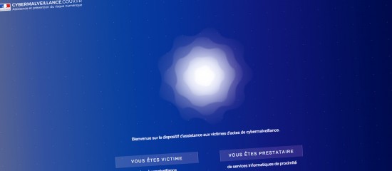 Zoom sur la plate-forme Cybermalveillance.gouv.fr