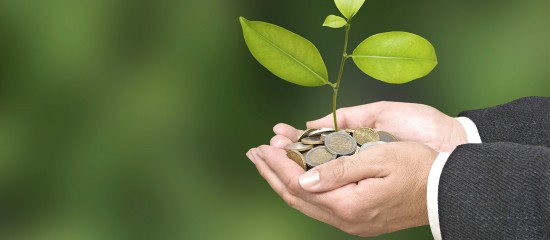 TPE-PME : renforcement des prêts bonifiés destinés aux investissements verts